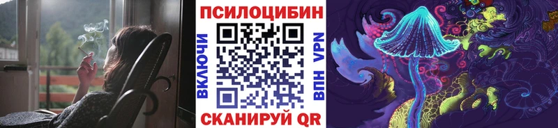 Псилоцибиновые грибы мицелий  кракен ТОР  Жуковский 