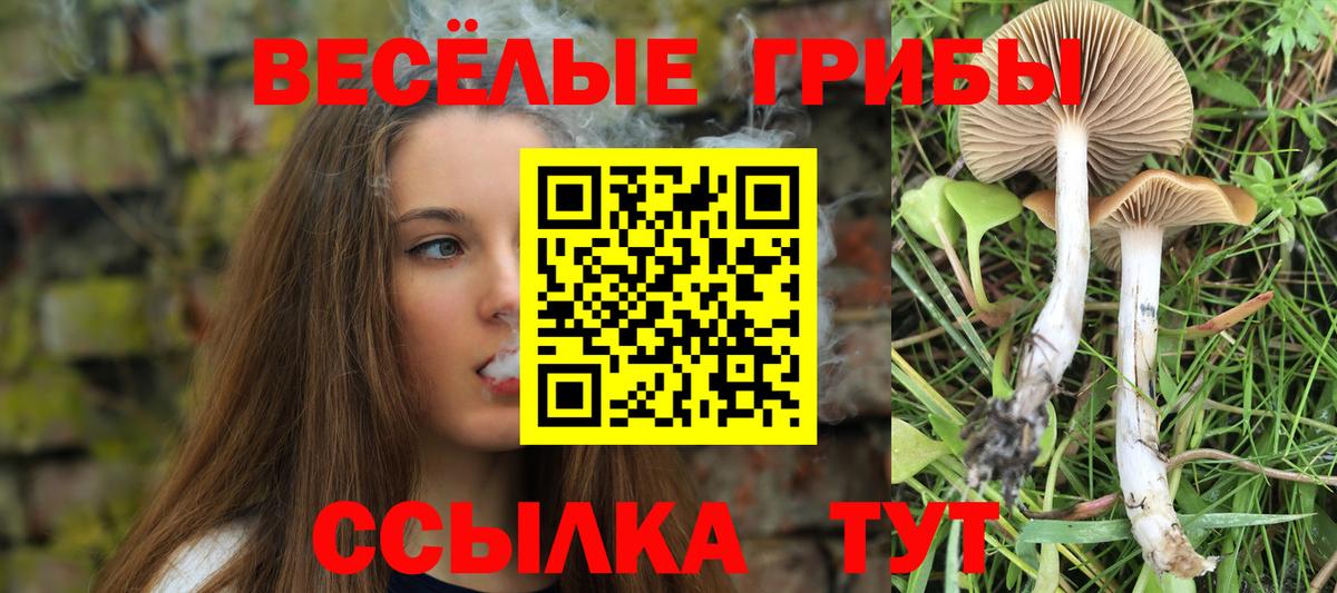 Галлюциногенные грибы мухоморы  Жуковский 