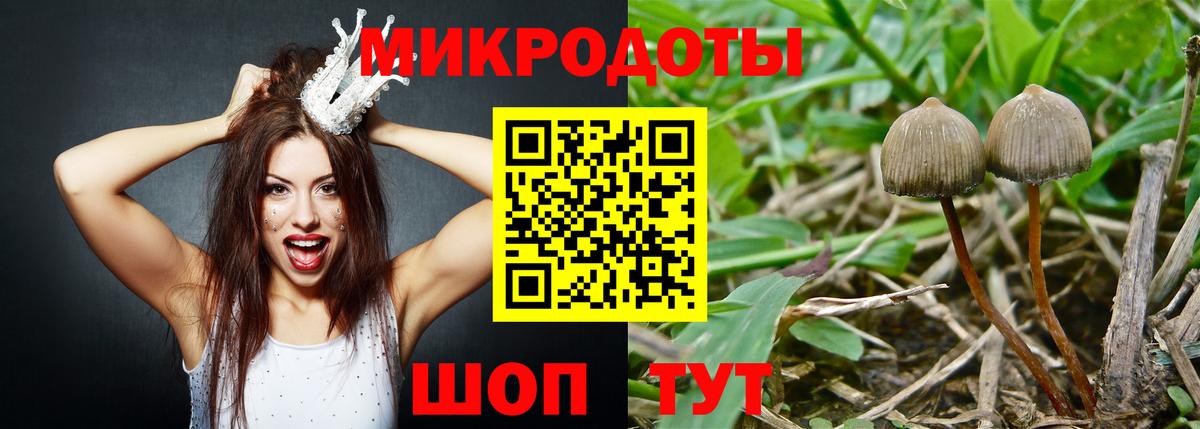 Жуковский  Галлюциногенные грибы MAGIC MUSHROOMS  Псилоцибиновые грибы Cubensis  Вход с VPN 