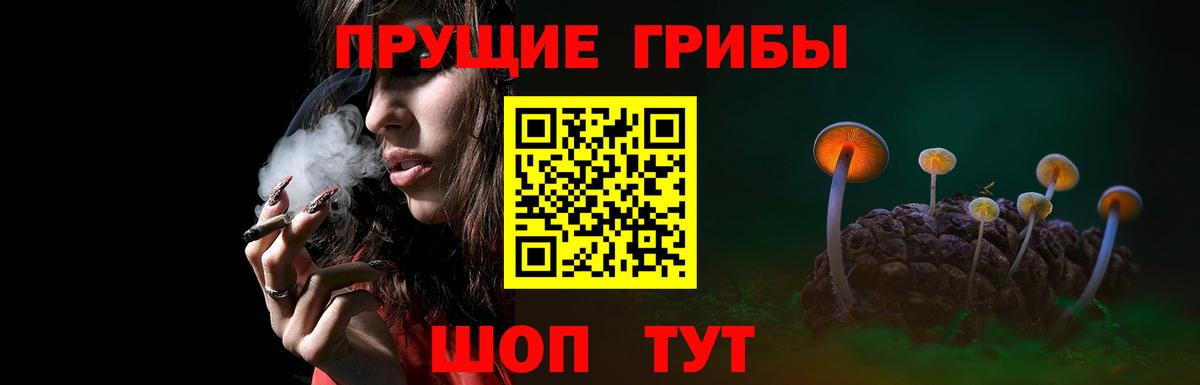 Псилоцибиновые грибы Psilocybe Жуковский